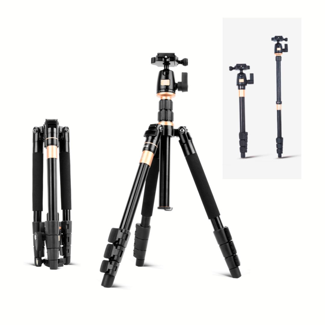 QZSD Q555 141cm 8kg Makro Noge - 1